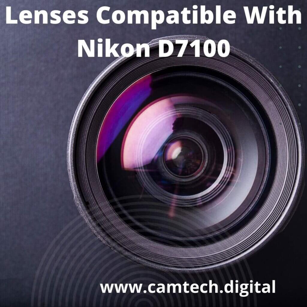 What Lenses Are Compatible With Nikon D7100?