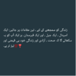 زندگی کو سمجھنے کے لئے ، تین مقامات پر جائیں: ایک اسپتال ، ایک جیل ، اور ایک قبرستان۔ ہر ایک آپ کو یہ سکھائے گا کہ صحت ، آزادی اور زندگی خود ہی قیمتی اور تیز تر