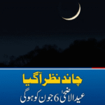 انڈونیشیا میں چاند نظر آ گیا، عیدالاضحیٰ 6 جون کو ہوگی