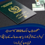شرپسند عناصر کے گرد گھیرا تنگ، ’محفوظ پنجاب ایکٹ 2025‘ کا مسودہ تیار